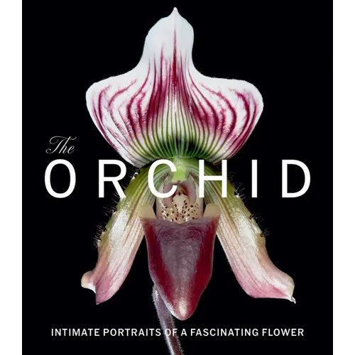 The Orchid: Intimate Portraits of a Fascinating Flower