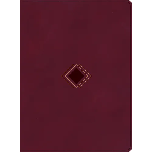 CSB Day-By-Day Chronological Bible, Burgundy Leathertouch