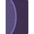 CSB Rainbow Study Bible, Purple Leathertouch (Limited Edition)