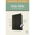 NLT Personal Size Giant Print Bible, Filament Enabled Edition (Red Letter, Leatherlike, Black/Onyx, Indexed)