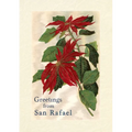 Vintage Lined Notebook Greetings from San Rafael, California