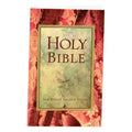 Holy Bible-NRSV