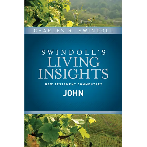 Insights on John