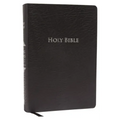 Study Bible-KJV