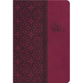 Study Bible-KJV