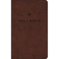 ESV Premium Church Bible (Trutone, Brown)
