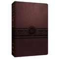 Personal Size Large Print Bible-Mev