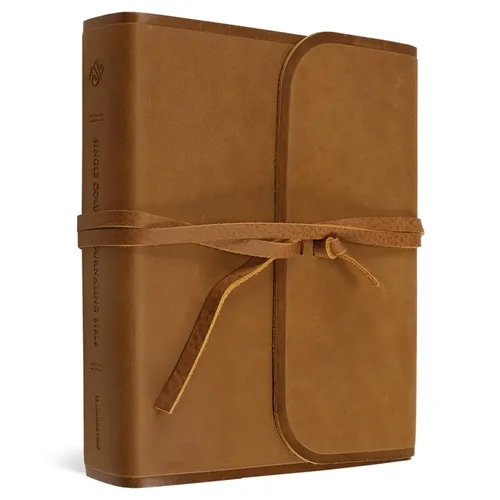 ESV Single Column Journaling Bible (Natural Leather, Brown, Flap with Strap)