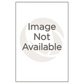 Encyclopedia of Native American Jewelry: A Guide to History, People, and Terms